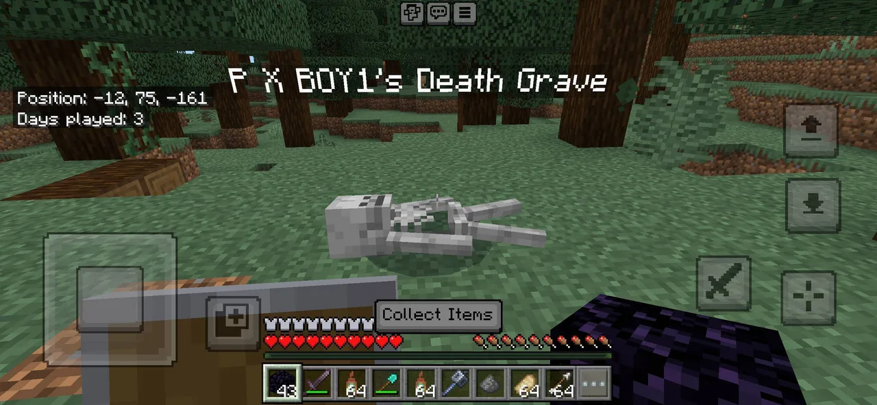 Recover Your Items with Death Corpse and Coordinates - Image 3