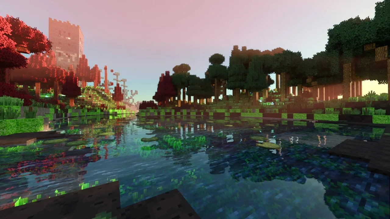 Exploring the Forgotten Canopy - Image 3