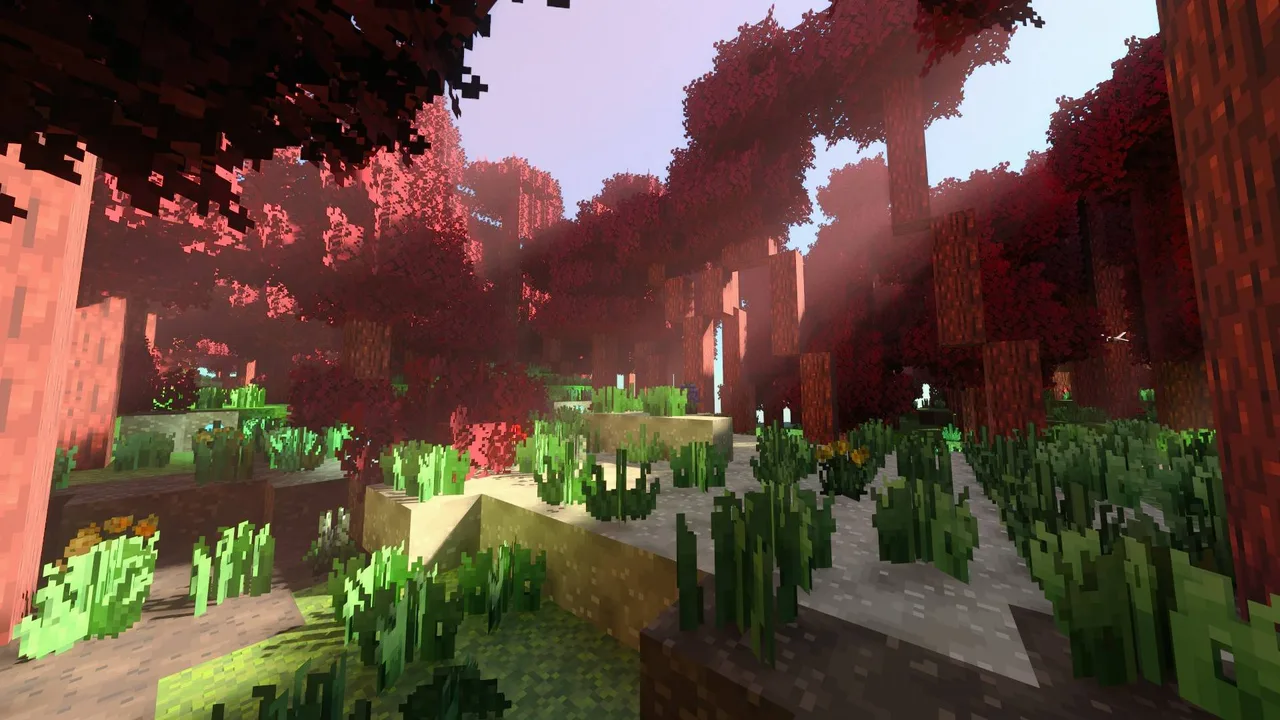 Exploring the Forgotten Canopy - Image 4