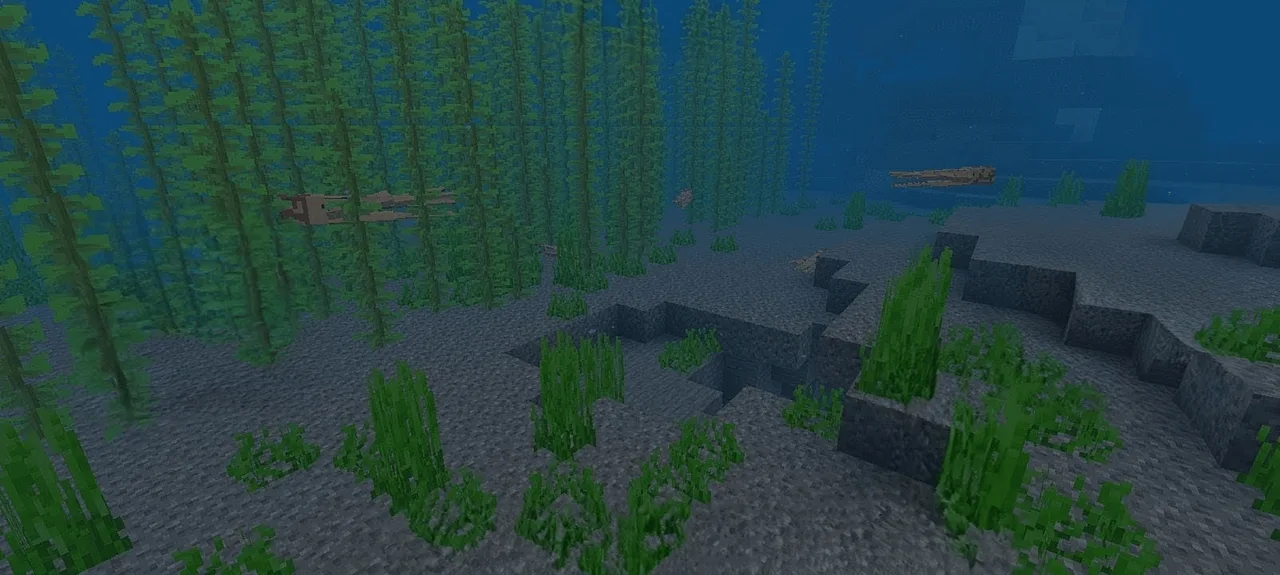 Oceanic Overhaul – Transform Your Underwater Experience - Image 2